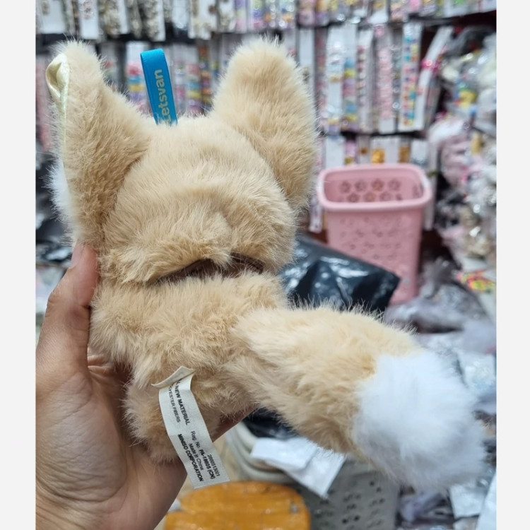 واکوکو (شانسی)
